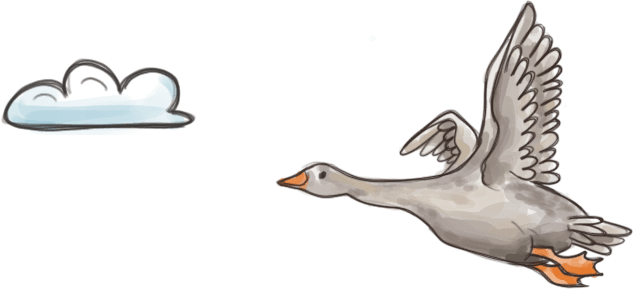 stork