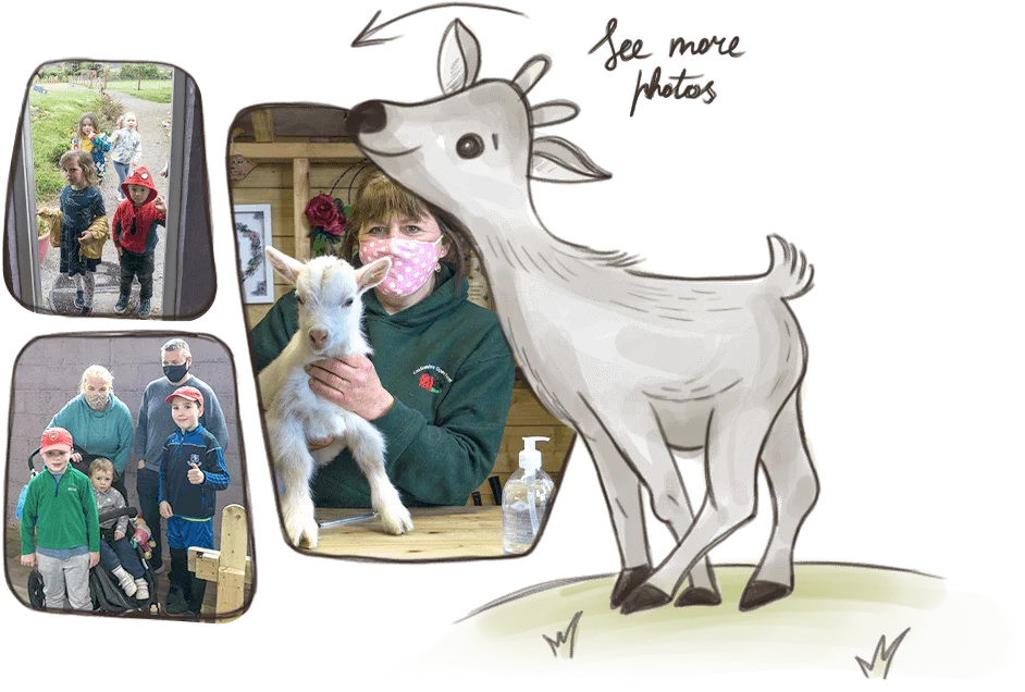 Cartoon goat and collage of people with a fluffy goat at Castleview Open Farm.