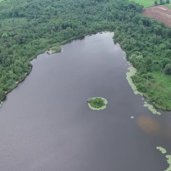 Aerial view of a forested lake with a small island, surrounded by lush greenery.