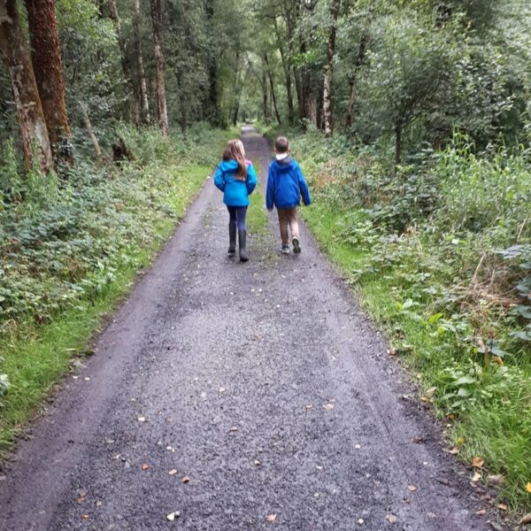 Two kids in blue jackets walk down a forest path surrounded by trees.