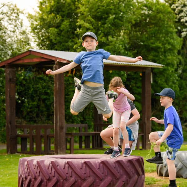 Castleview Open Farm (photos by Diarmuid Greene)