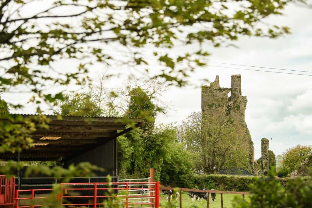 Castleview Open Farm (photos by Diarmuid Greene)