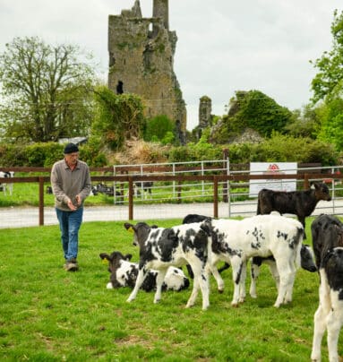 Castleview Open Farm (photos by Diarmuid Greene)