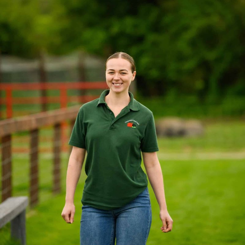 Castleview Open Farm (photos by Diarmuid Greene)