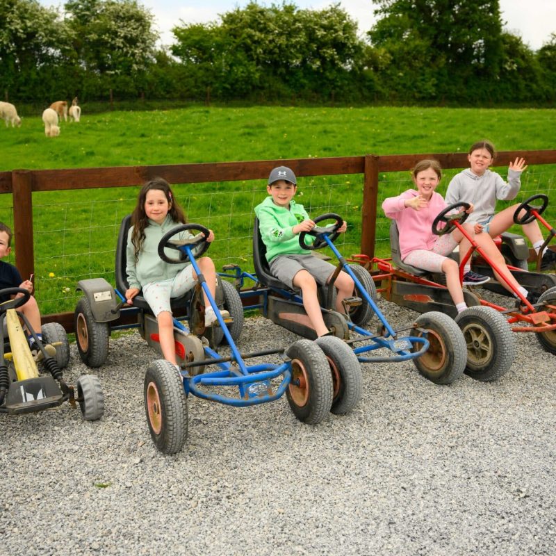 Castleview Open Farm (photos by Diarmuid Greene)